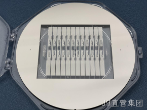 携手共植科技树 长情陪伴结硕果——J9直营集团MEMS业务签署标志性订单